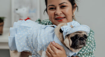 #141 – Motivos para escolher a costura pet com Aury Mesquita